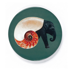 Coasters — Curiosito Collection