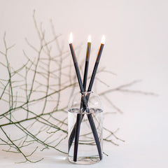 Close-up of Everlasting Candle made from 3 black metal rods in a glass container